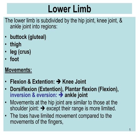 Lower Limb-latest.ppt