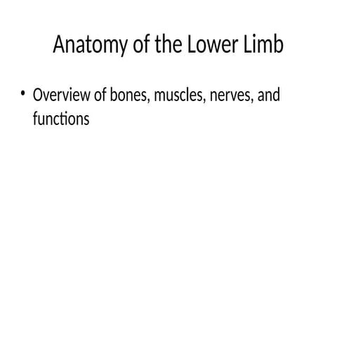 Lower_Limb_Anatomy_Preseghrtezsntation.pptx