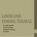 Lower limb and femoral triangle.pptx