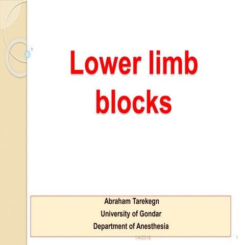 Lower limb blocks