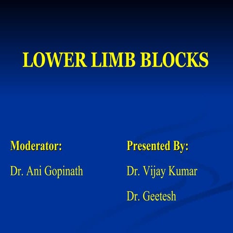 Lower limb blocks