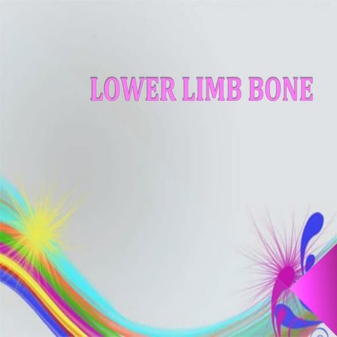 Lower limb bones