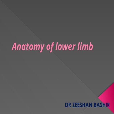 anatomy of the LOWER LIMB bones FINAL.pptx