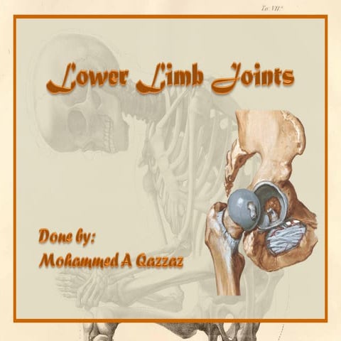 Lower limb joints