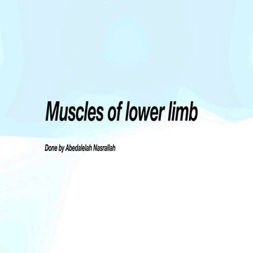 Lower limb muscles . Presented by dr Abedalelah