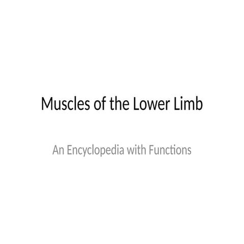 Lower_Limb_Musclesdia.pptxhbd dhd dbd dbddb | PPTX