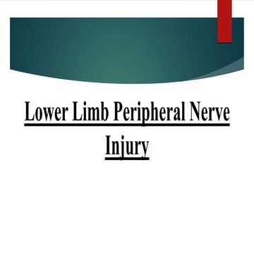 Lower limb peripheral nerve injury