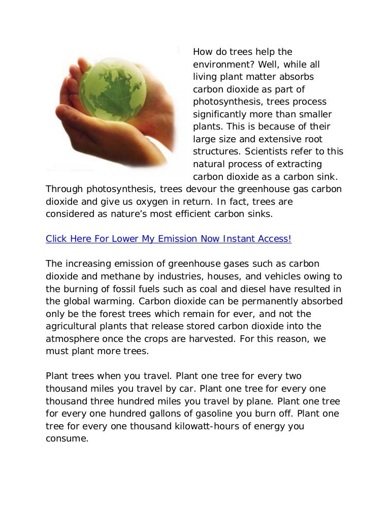 Lower my emission now how do trees help the environment