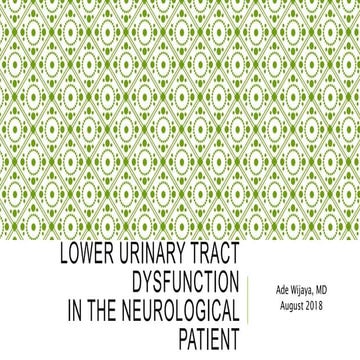 Lower Urinary Tract Dysfunction in The Neurological Patient 