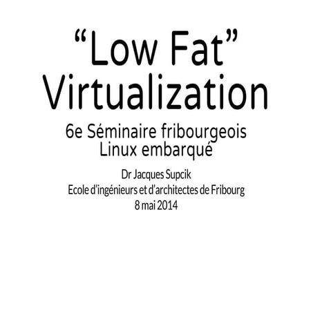 Low fat virtualization for embedded systems