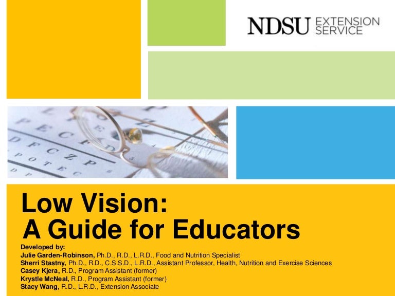 Low Vision A Guide for Educators