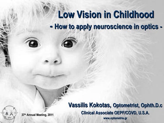 Industrial vision screening | PPT