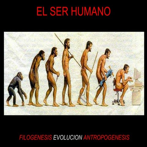 serhumanoslideshare-100312103623-phpapp02.ppt