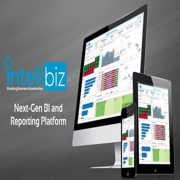 Intelibiz Reporting Solution