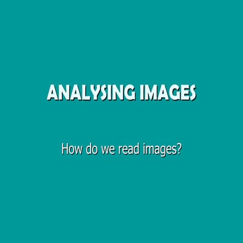 Lp11 analysing images