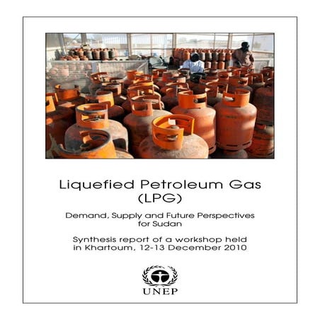 LPG_Sudan_workshop.pdf