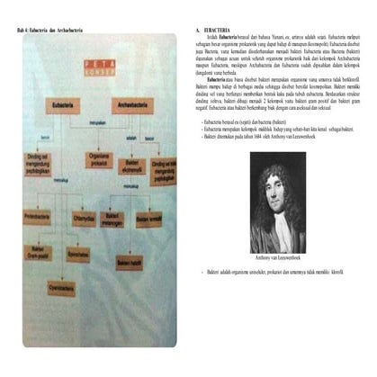 Modul Pengertian EUBACTERIA dan ARCHAEBACTERIA Full
