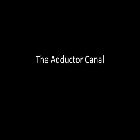 Slideshow: Adductor Canal