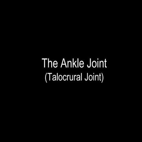 Slideshow: Ankle Joint