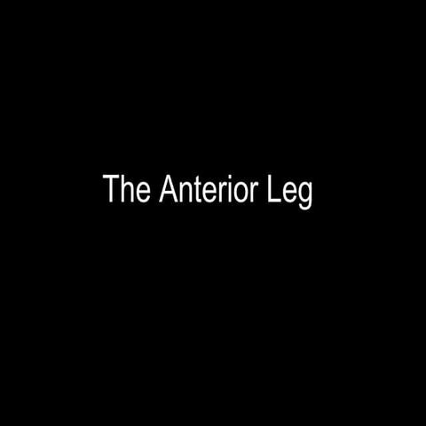 Slideshow: Anterior Leg