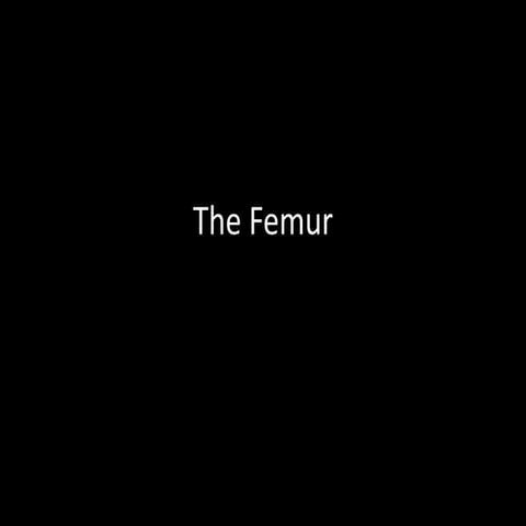 Slideshow: Femur