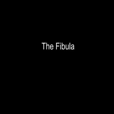 Slideshow: Fibula