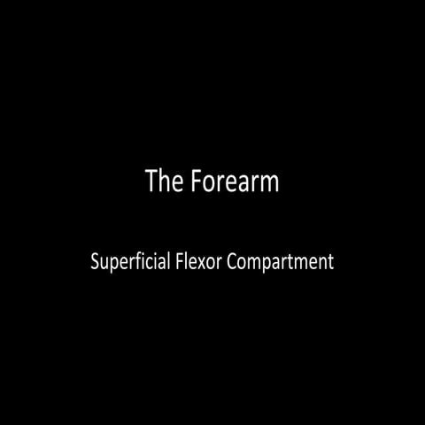 Slideshow: Forearm Superficial Flexors