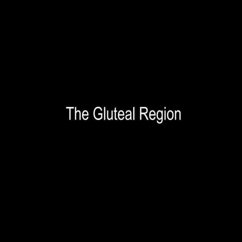 Slideshow: Gluteal Region