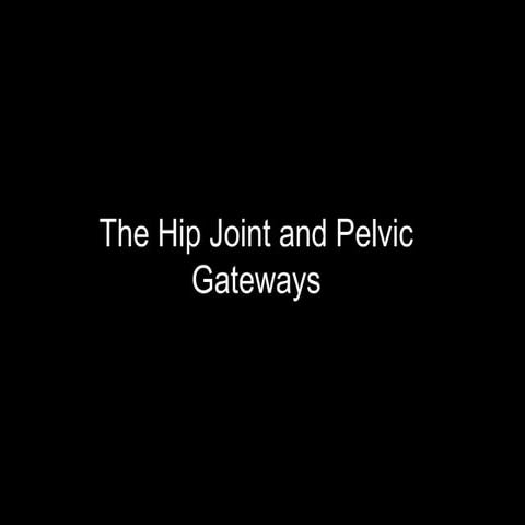Slideshow: Hip Joint and Pelvic Gateways