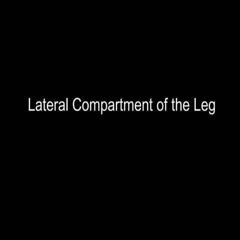 Slideshow: Lateral Leg
