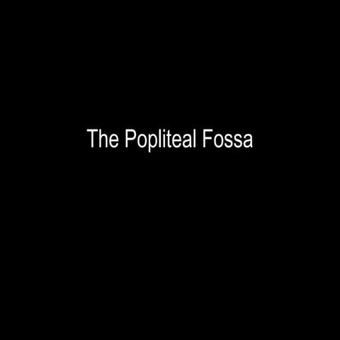 SLideshow: Popliteal Fossa