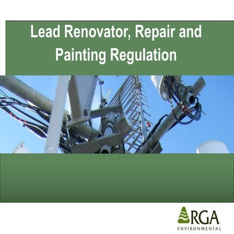 Lead paint pamphlet_-_free_epaisclosure | PDF