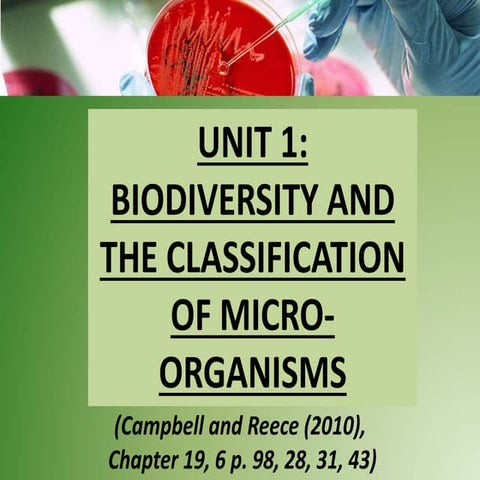 Bacteria versus fungi, Difference between bacteria and fungi | PDF