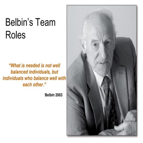 belbins team roles