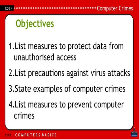 COB4 Computer Crime