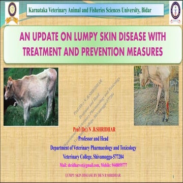 AN UPDATE ON LUMPY SKIN DISEASE WITH TREATMENT AND PREVENTION MEASURES