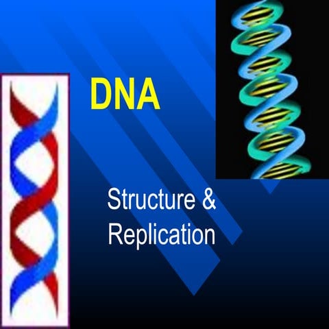 Structure of DNA | PPTX