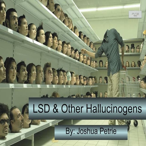 Lsd &amp; Other Hallucinogens