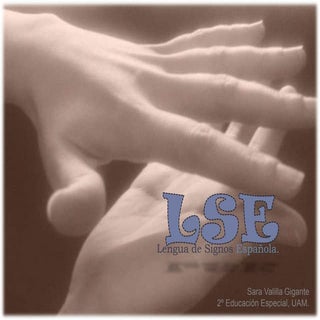 Lengua de Signos Española  (LSE)