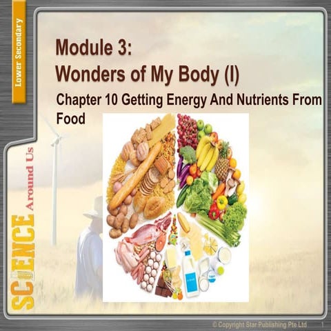 Lss module 3 chpt 10 nutrients an food