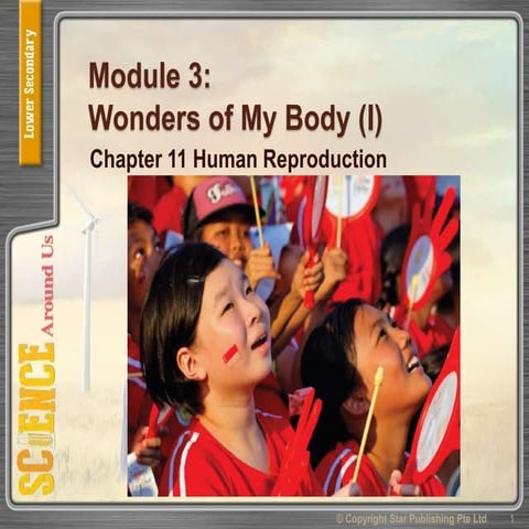 Lss module 3 chpt 11 human reproduction