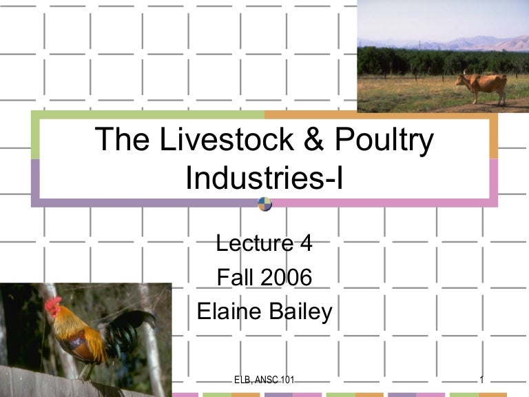 Introduction to Livestock Industries