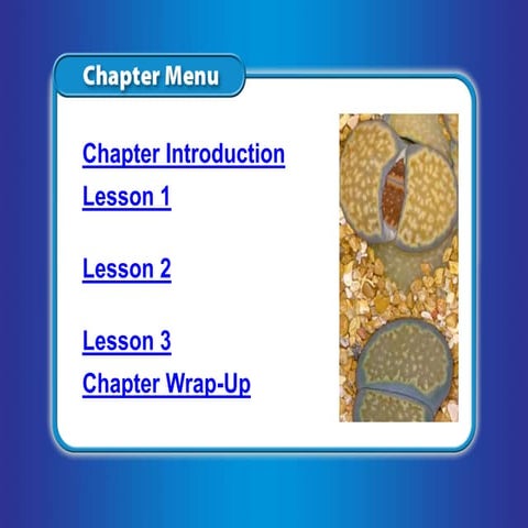 lsu2_classification_ppt.pptx