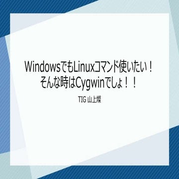 20160810-lt-cygwin