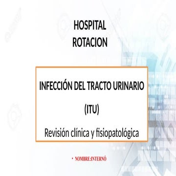 Comprehensive Clinical and Pathophysiological Review of Urinary Tract ...