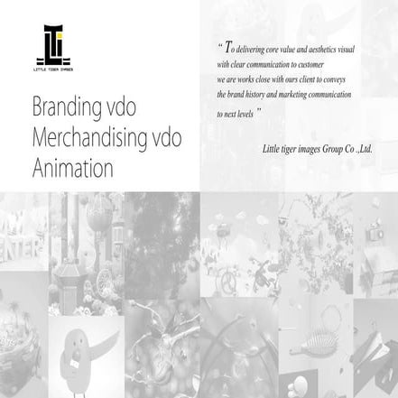 Lti 2016 Branding & Merchandising VDO profile