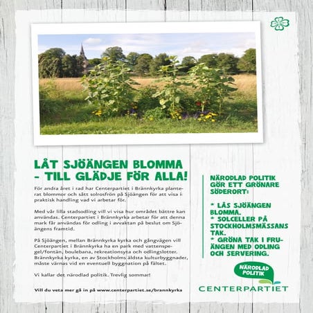 Flyer per 140305 | PDF