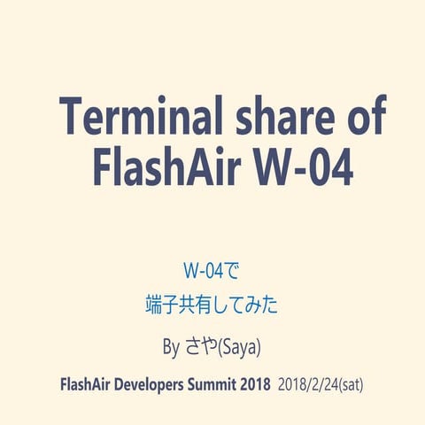 Terminal share of FlashAir W-04