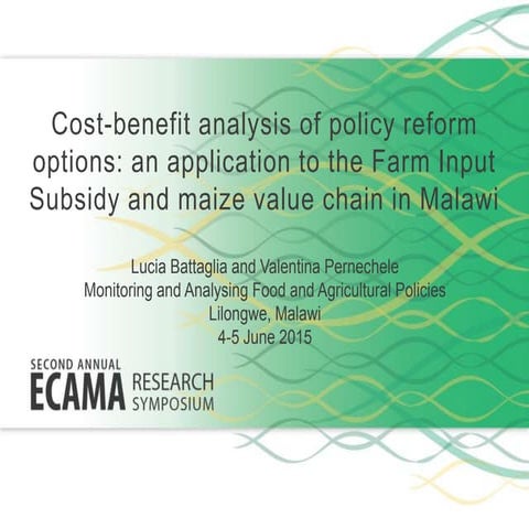 Cost-benefit analysis of policy reform options: an application to the Farm In...