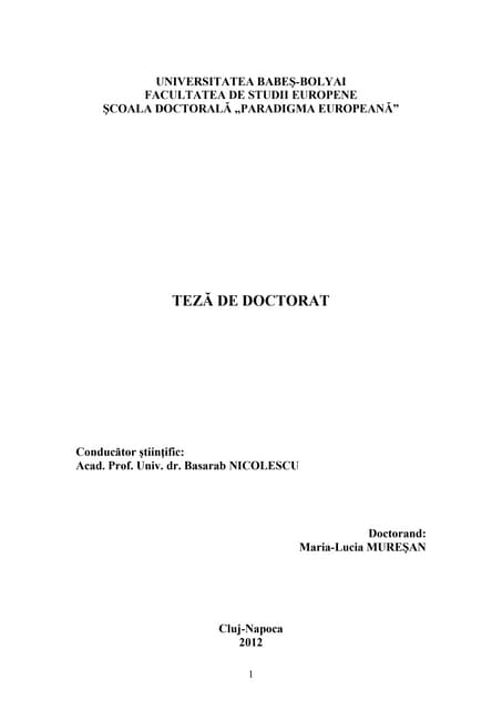 Lucia muresan final PDF